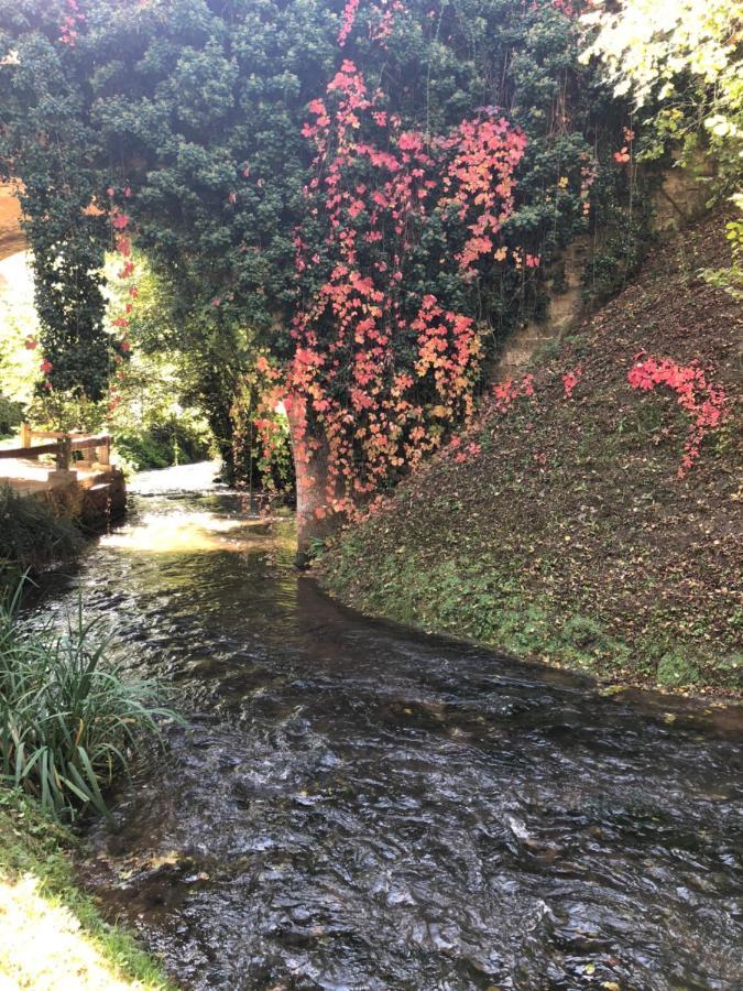 Le Moulin De La Beune Les Eyzies Exteriér fotografie