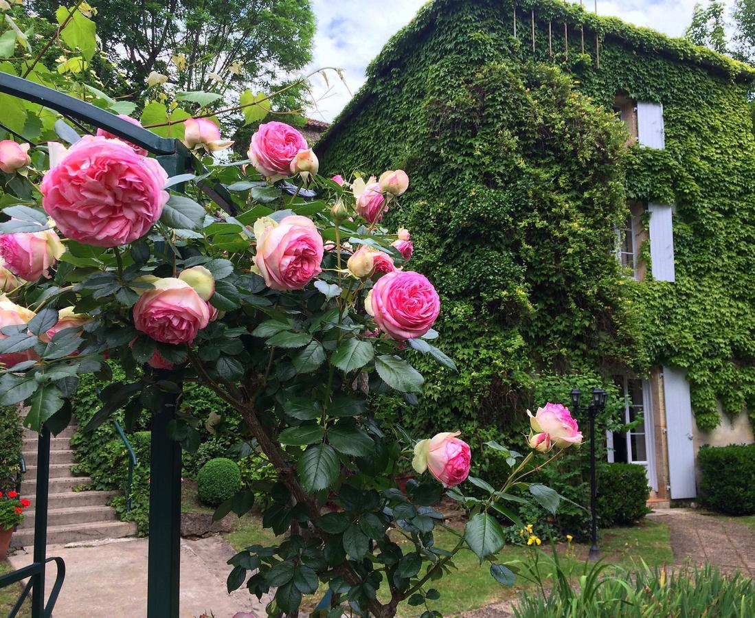 Le Moulin De La Beune Les Eyzies Exteriér fotografie